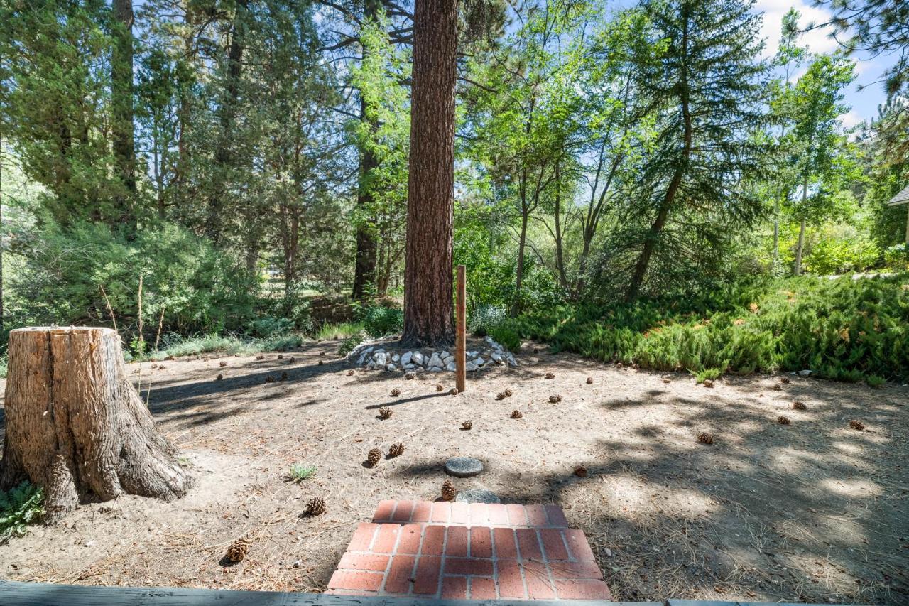 Peaceful Pines Panorama - Nestled In An Upscale Neighborhood! Recently Remodeled, New Appliances! Villa Big Bear Lake Esterno foto